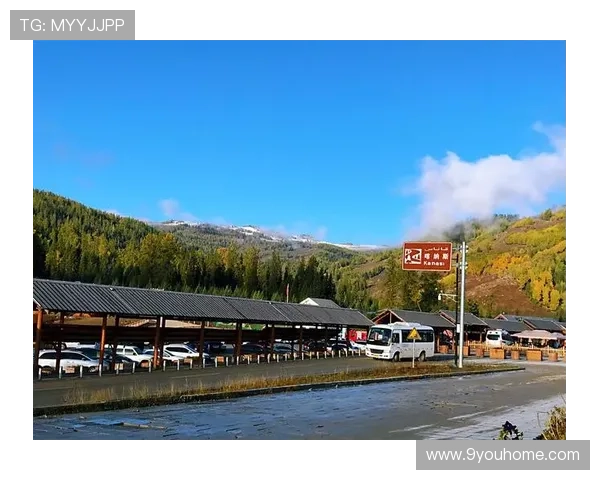 9游会登录线路常见问题及解决方法，助你无忧畅玩每一刻