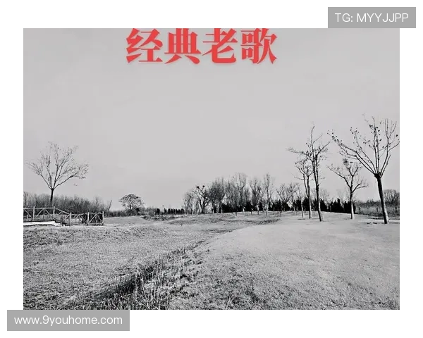 九游老歌俱乐部如何帮助用户轻松找到心仪的经典老歌，提升你的音乐欣赏体验